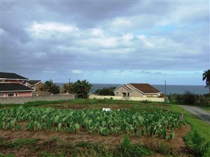 900 m² Land available in Port Edward