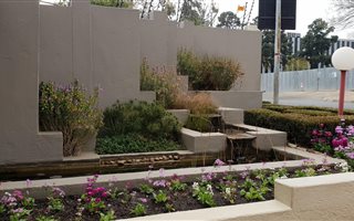 3 Bedroom Duplex in Rosebank