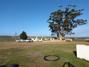 93 ha Farm in Riversdale