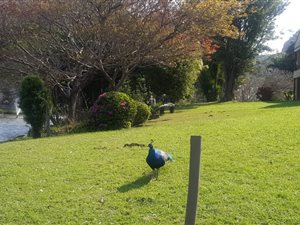 2 Bed Apartment in Port Edward