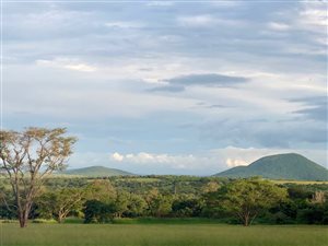 6612 ha Farm in Malelane