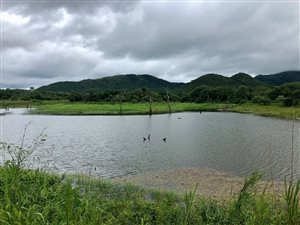 6612 ha Farm in Malelane