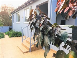 5 Bed House in Park Hill