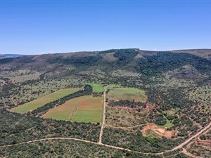 712 ha Farm in Grahamstown