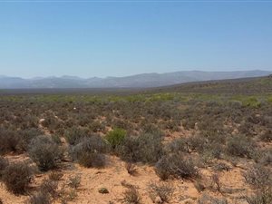 5520 ha Farm in Paarl