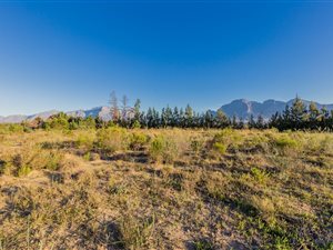1131 m² Land available in Pearl Valley