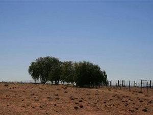 5226 ha Farm in Springbok