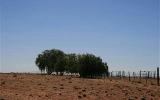 5226 ha Farm in Springbok