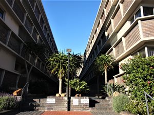 2 Bed Apartment in Green Point