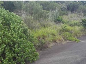 492 m² Land available in Beacon Bay