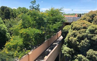 1 Bedroom Apartment in Oaklands