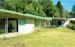 24 ha Farm in Dargle
