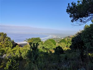 730 m² Land available in Keurboomstrand