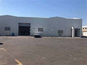 481 m² Industrial space in Paarden Eiland