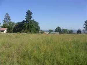 1065 m² Land available in Brackenham