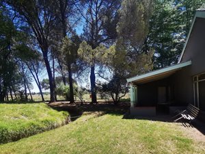 4.3 ha Farm in Bloemspruit