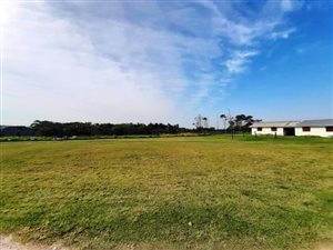 8.5 ha Farm in East London Central