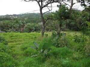 6369 m² Land available in Southbroom
