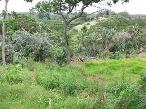 6369 m² Land available in Southbroom