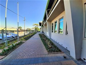 125 m² Office Space in Pinelands