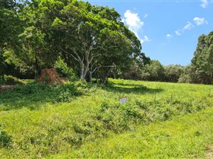 878 m² Land available in Cintsa