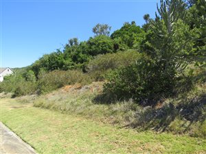 778 m² Land available in West Bank
