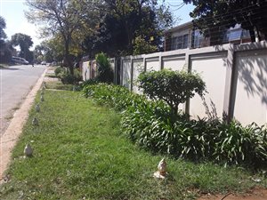 3 Bed Townhouse in Windsor East