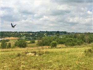 3500 m² Land available in Lanseria and surrounds
