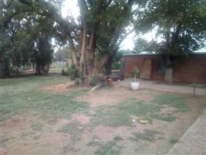 4.3 ha Farm in Bloemspruit