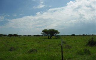 428.3 ha Land available in Boshof
