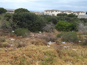 858 m² Land available in Amsterdamhoek
