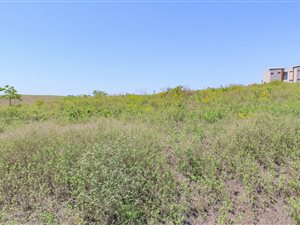 587 m² Land available in Palm Lakes Estate