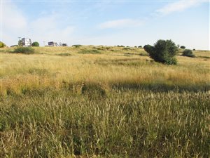 2.5 ha Land available in Groenvlei