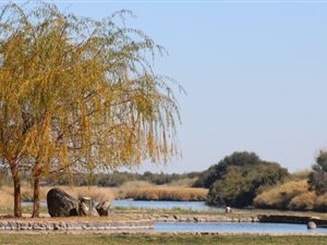 875 m² Land available in Kanoneiland