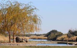 875 m² Land available in Kanoneiland