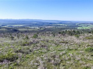 39 ha Land available in Uitenhage Central