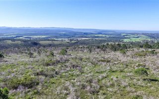 39.5 ha Land available in Uitenhage Central