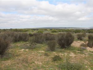 2.3 ha Land available in Long Acres
