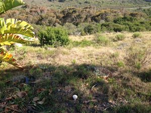 637 m² Land available in Pienaarstrand