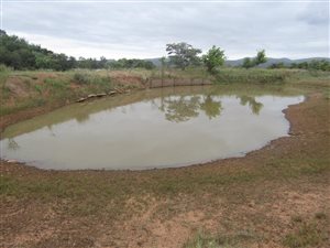 44 ha Farm in Mookgophong (Naboomspruit)