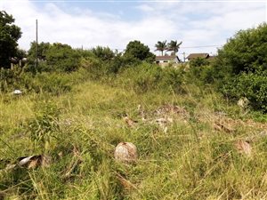 1259 m² Land available in Ngwelezana