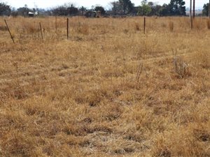 2.2 ha Land available in Meyerton