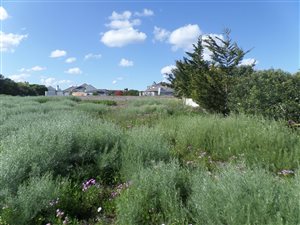 881 m² Land available in Country Club