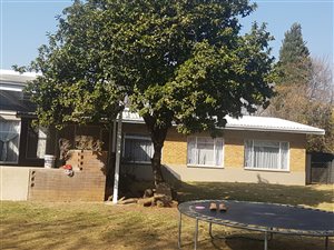 3 Bed House in Raceview