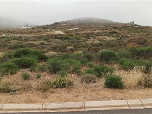 370 m² Land available in St Helena Views