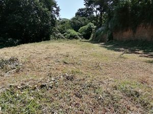 2385 m² Land available in Berea West