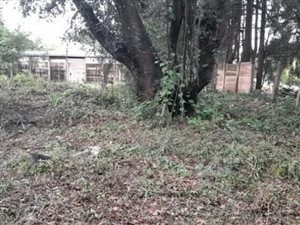 745 m² Land available in Fouriesburg