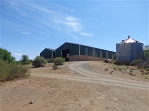3614 ha Farm in Philippolis