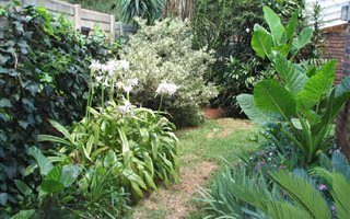 3 Bedroom Townhouse in Lynnwood Glen
