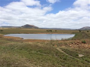 2191 ha Farm in Vryheid